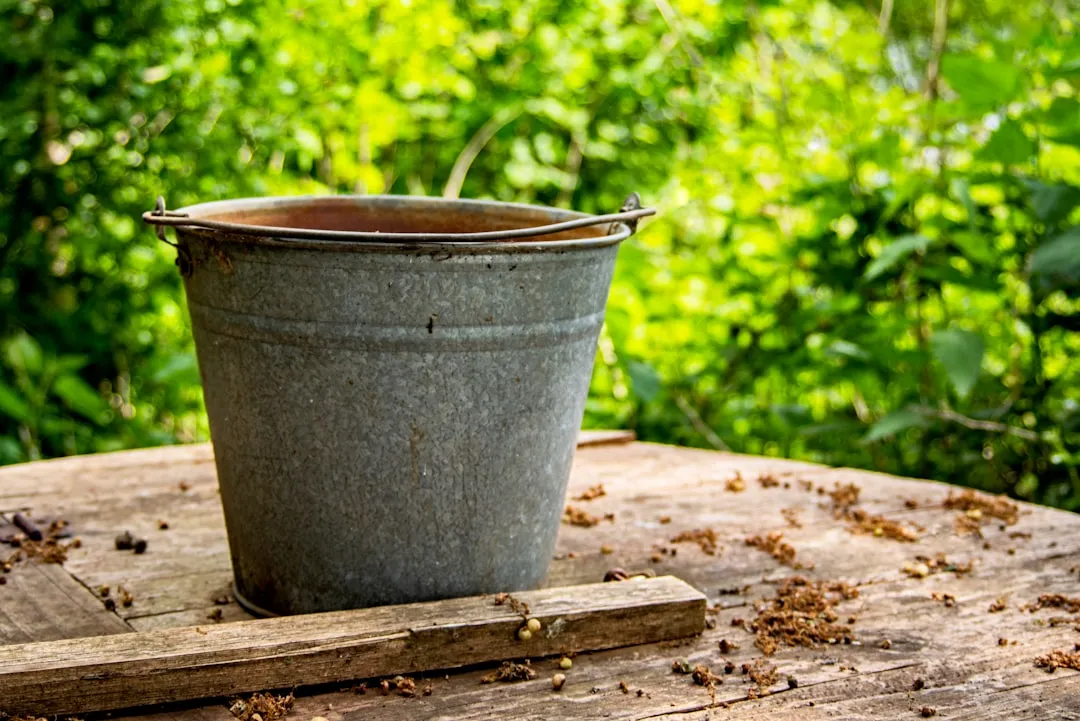 Why More People Are Turning to Buckets Right Now (Image Credits: Unsplash)