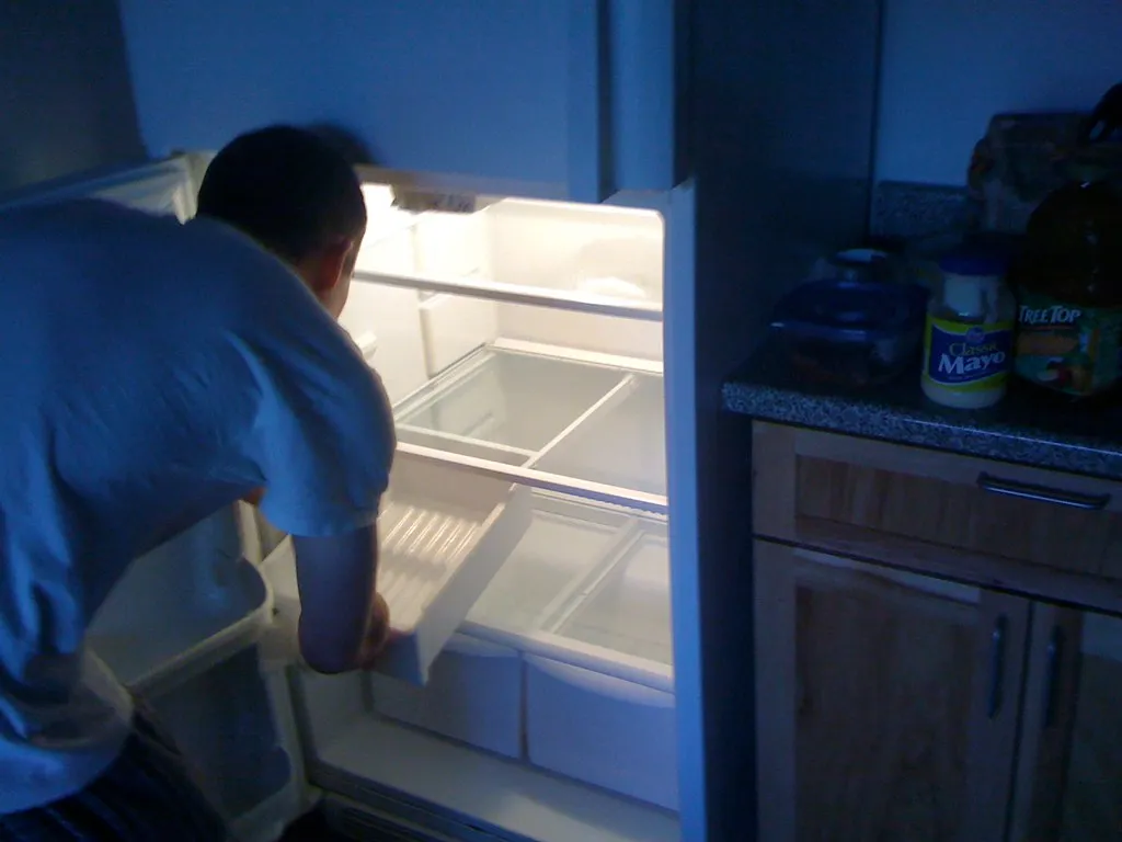 Cleaning the Refrigerator After a Drip (youngthousands, Flickr, CC BY 2.0)