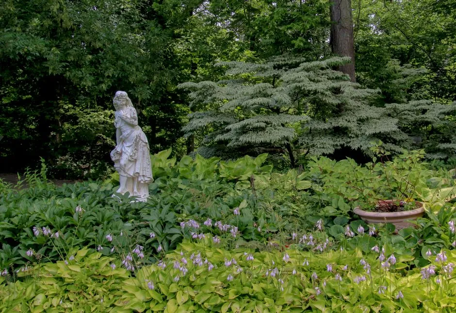 How to Put This to Work in Your Garden Right Now (Image Credits: Pexels)