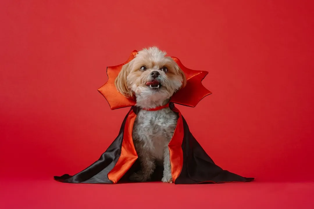 1. The Superhero Cape (Image Credits: Unsplash)