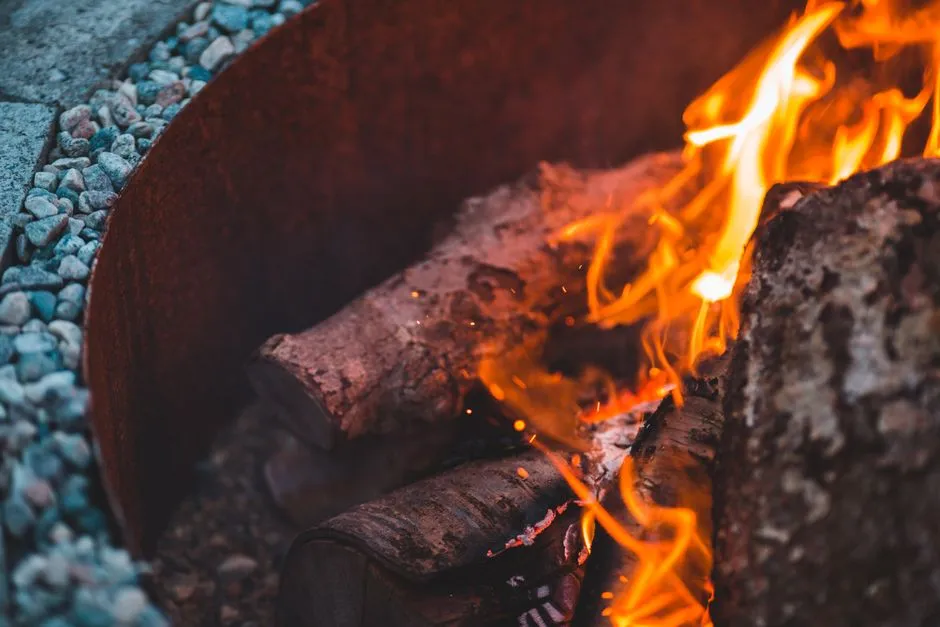 4. A Fire Pit with a Defined Seating Area (Image Credits: Pexels)