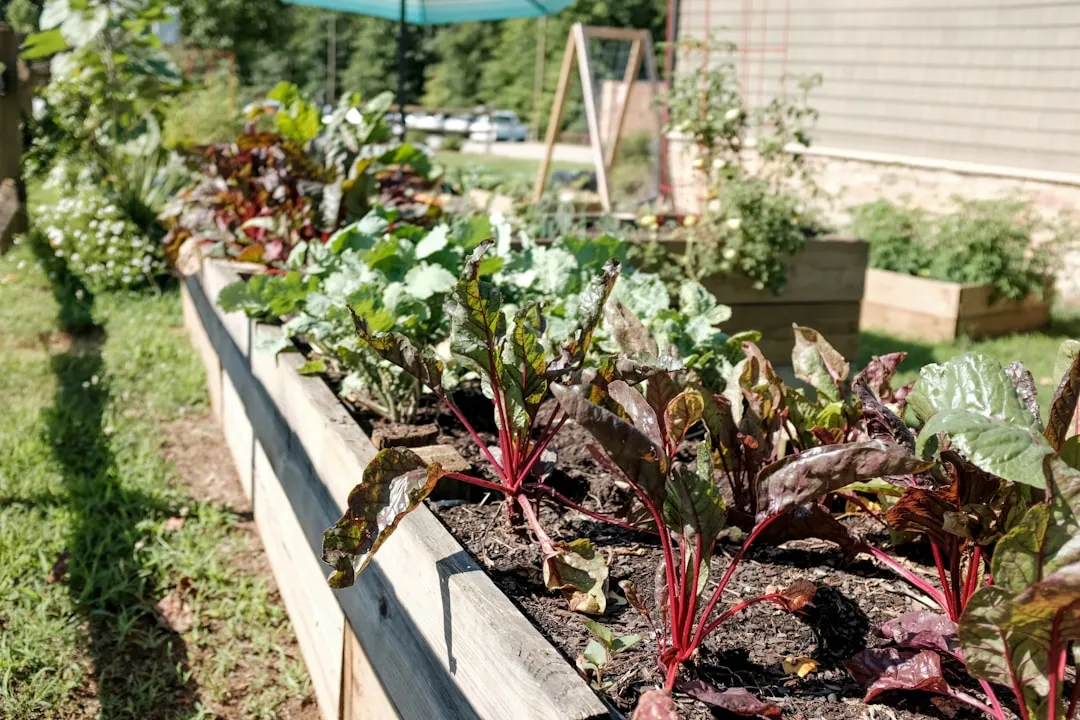 Why Crowded Vegetable Beds Struggle More Than You Think (Image Credits: Unsplash)
