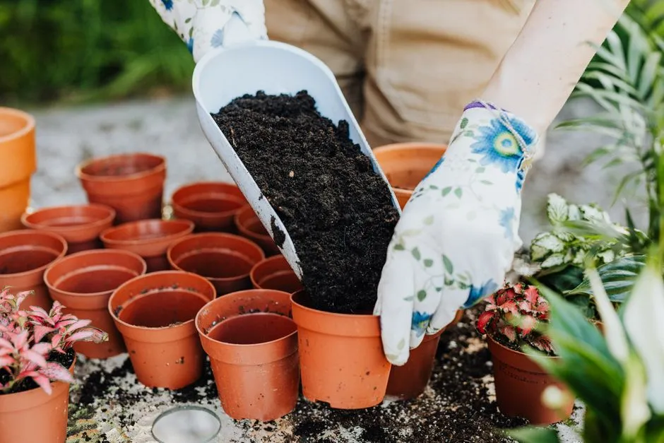 5 Types of Organic Fertilizer You're Using Wrong (And How It's Burning Your Roots)