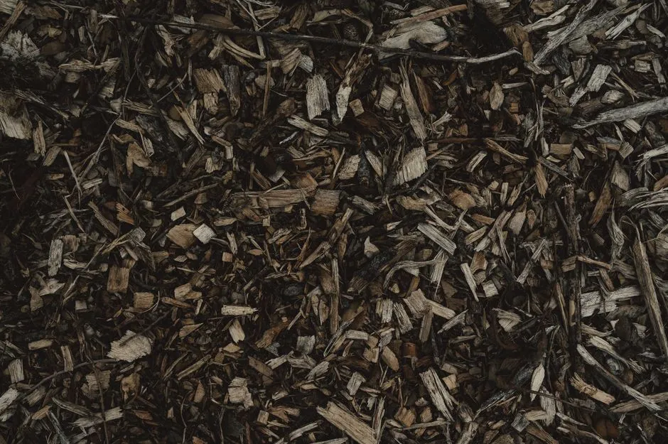 Covering Newspaper with a Top Mulch Layer (Image Credits: Pexels)