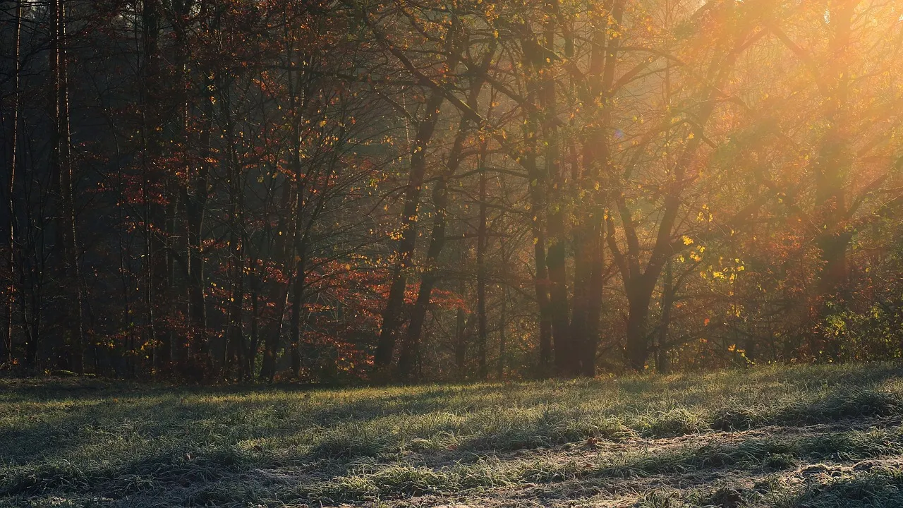 When Snow Is Absent: The Real Consequences (Image Credits: Pixabay)