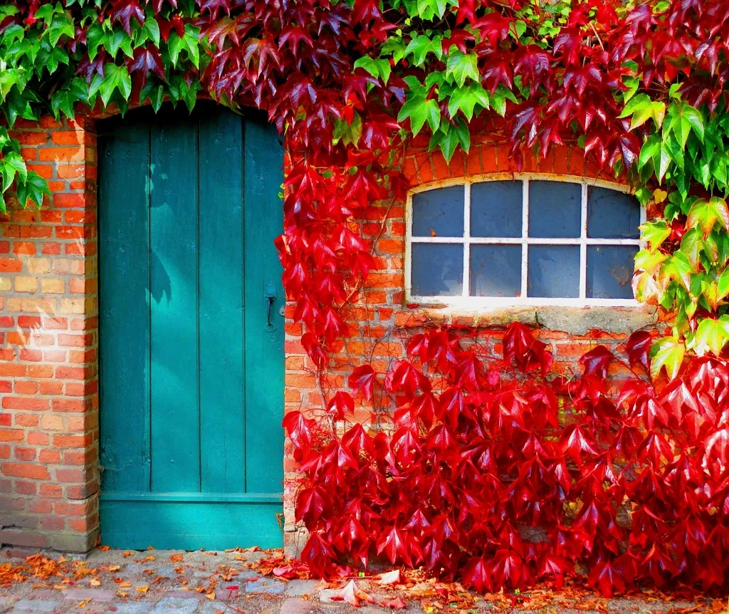 The Front Porch Itself Is Having a Renaissance (Image Credits: Rawpixel)