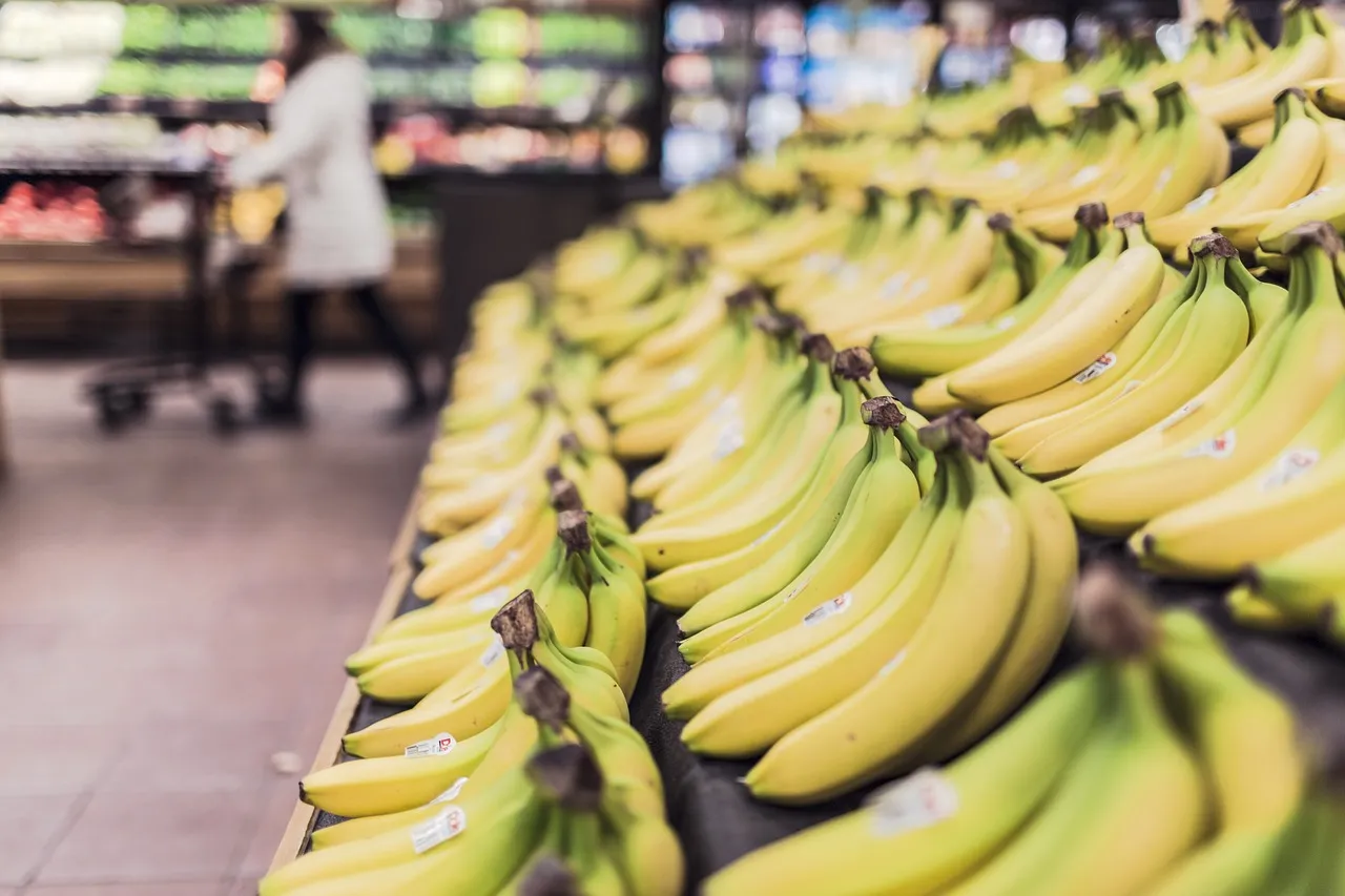 The Starting Point: What Americans Actually Spend on Groceries (Image Credits: Pixabay)