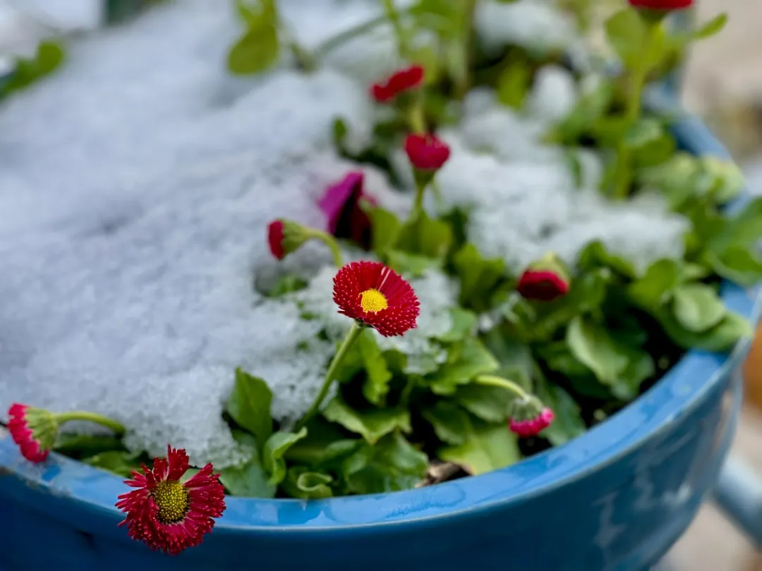 Drainage Still Matters - Don't Ignore It (Image Credits: Unsplash)