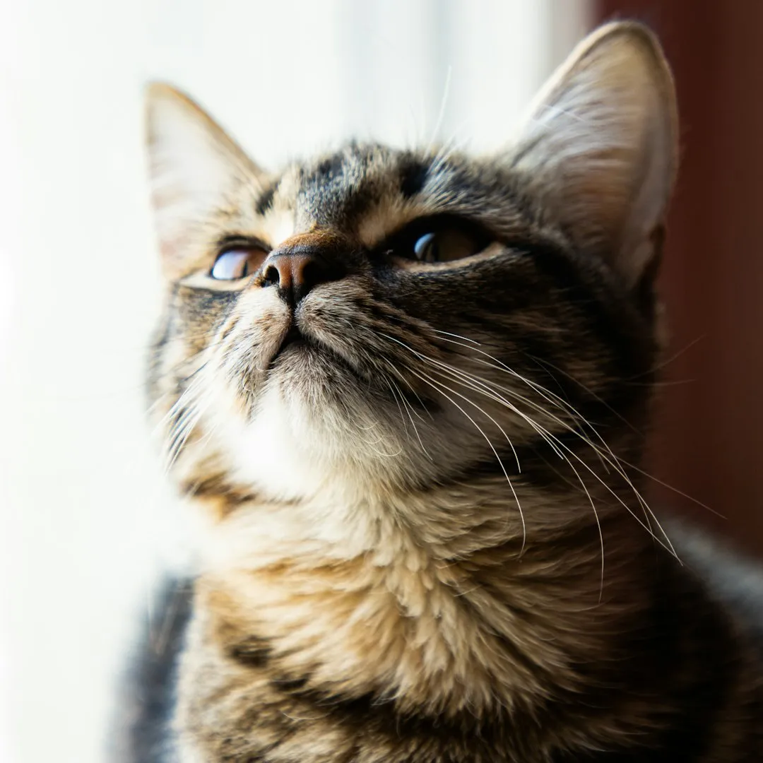 Scent Is a Powerful Motivator (Image Credits: Unsplash)