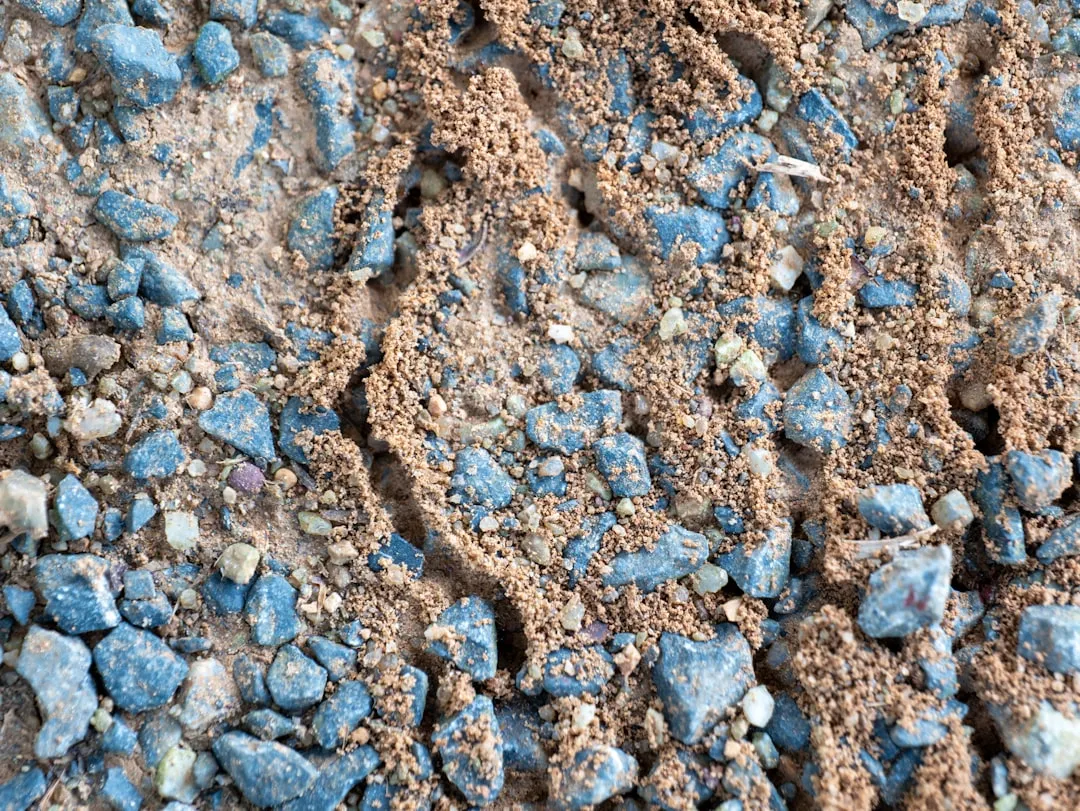 Reading the Color of the Soil as a Clue (Image Credits: Unsplash)