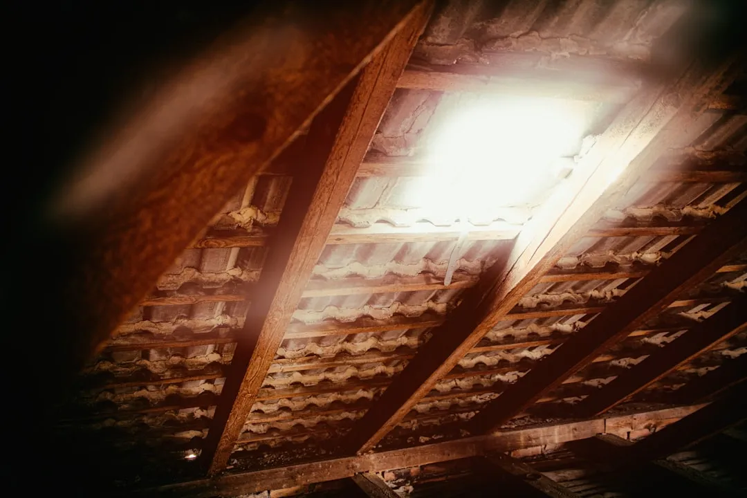 5. Visible Entry Points or Damage on the Exterior (Image Credits: Unsplash)