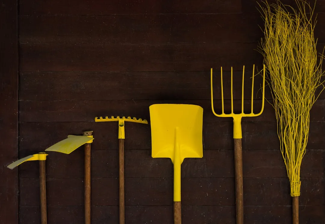 Displaying and Restoring Without Losing Value (Image Credits: Unsplash)