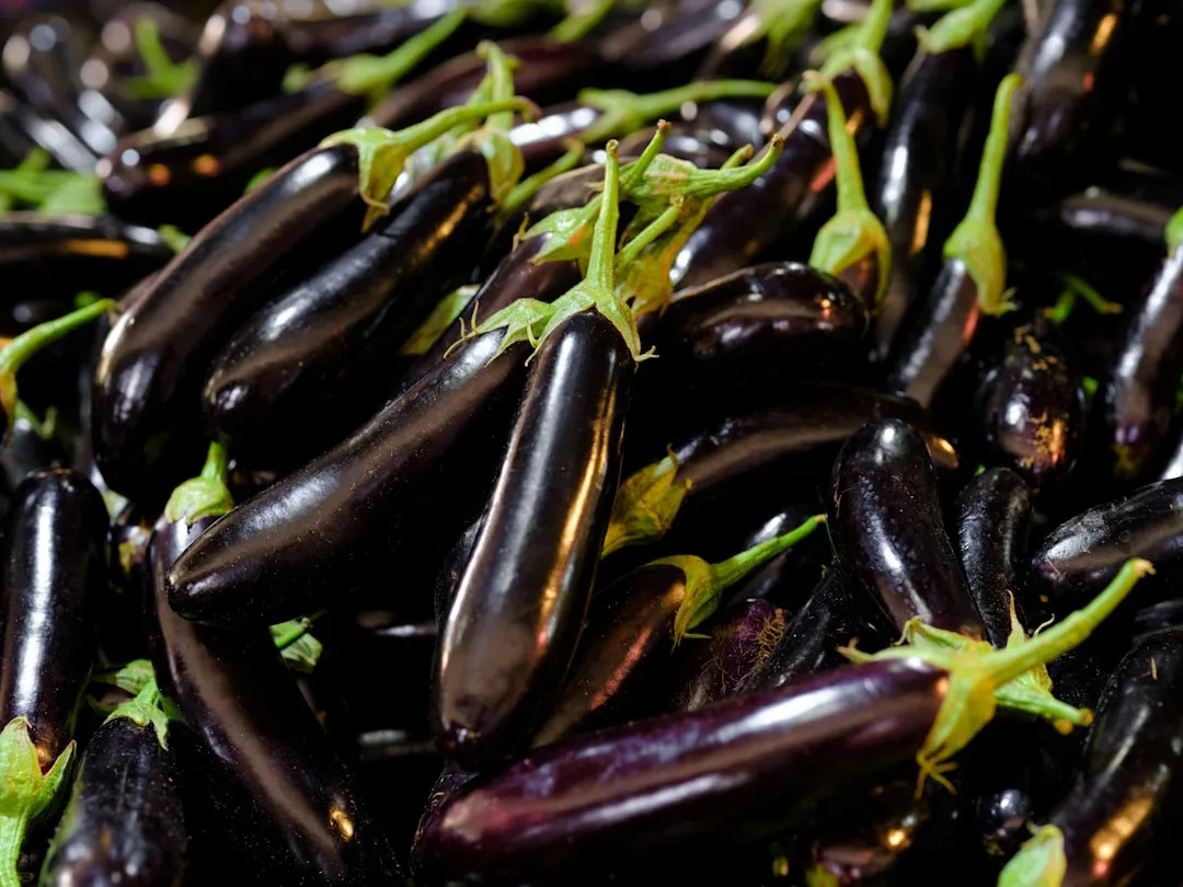 Plant Stress During Growing Season Is a Hidden Trigger (Image Credits: Unsplash)