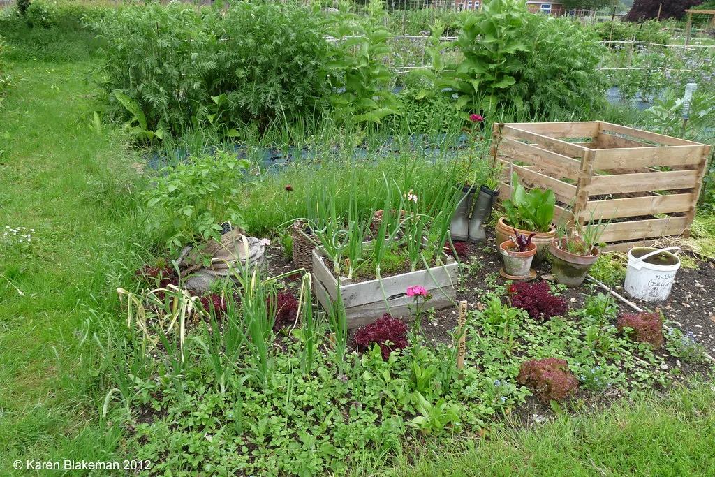 Choose the Right Containers from the Start (Image Credits: Flickr)