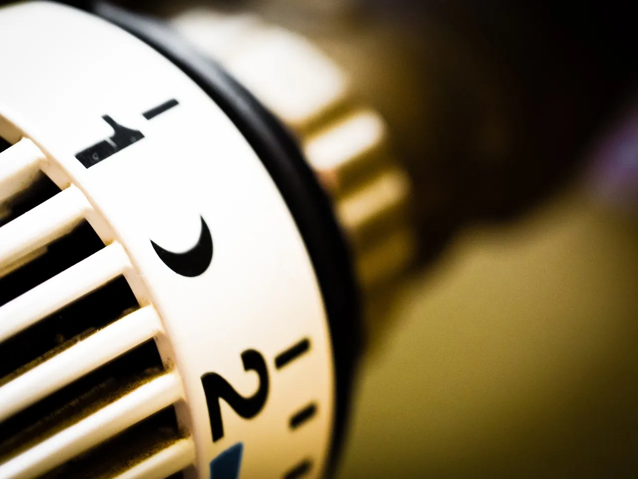 Three Ways These Arguments Tend to Play Out (Image Credits: Pixabay)