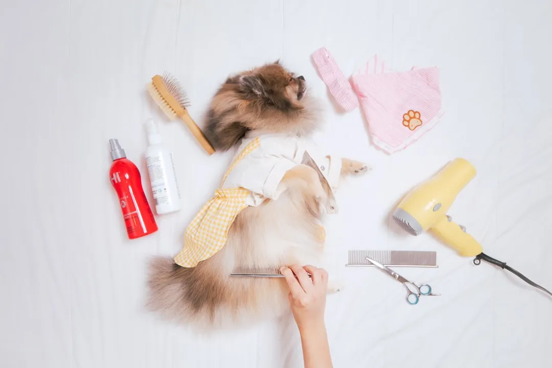 6. Using Tools That Were Designed for Dogs (Image Credits: Unsplash)