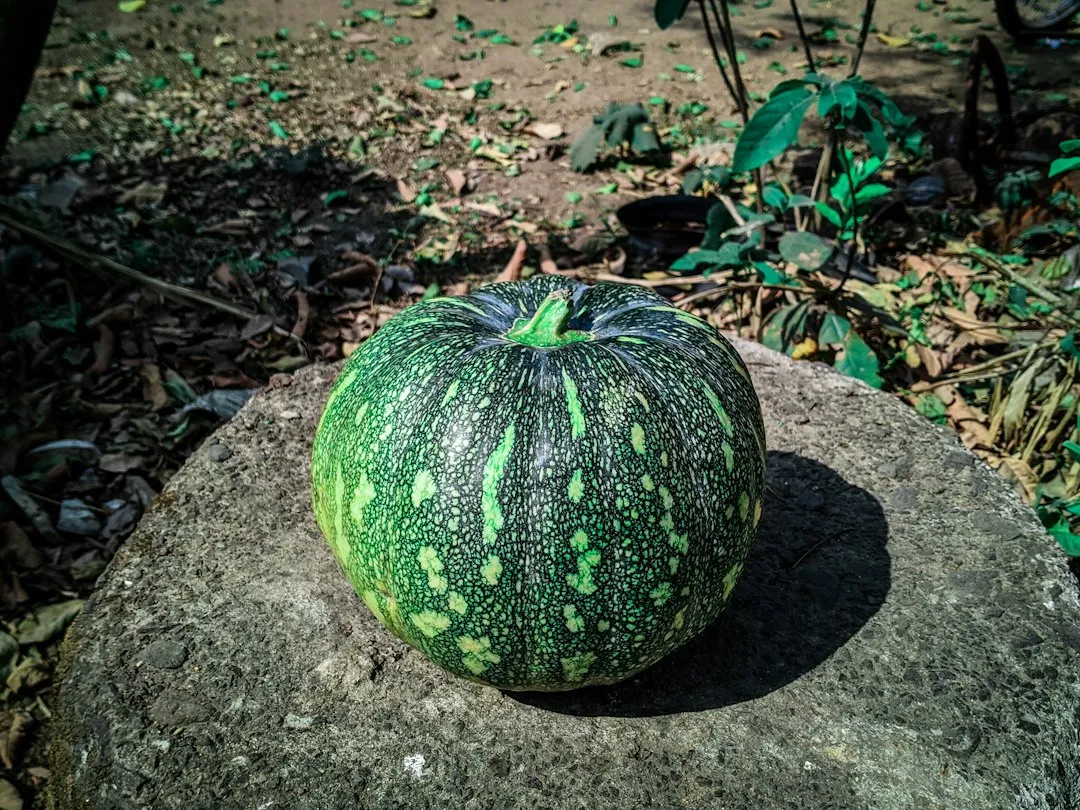 Naturally Green Varieties That Will Never Turn Orange (Image Credits: Unsplash)