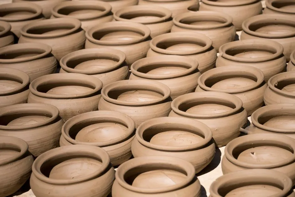 Proper Drying: A Step Gardeners Often Rush (Image Credits: Pexels)