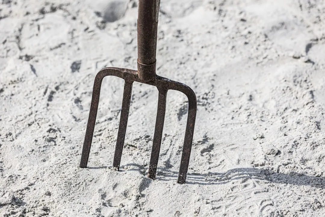 3. Solid Steel Garden Forks (Image Credits: Unsplash)