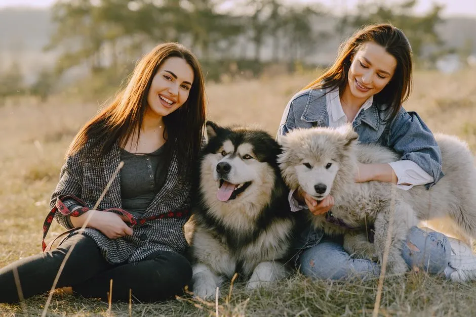 What Role Does Sex Play in a Dog's Lifespan? (Image Credits: Pexels)