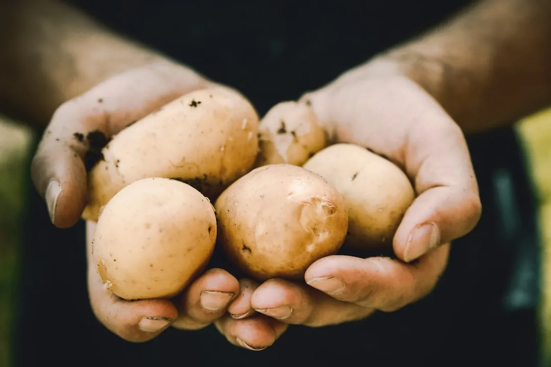 Using Potato Water in Bread Dough (Image Credits: Unsplash)