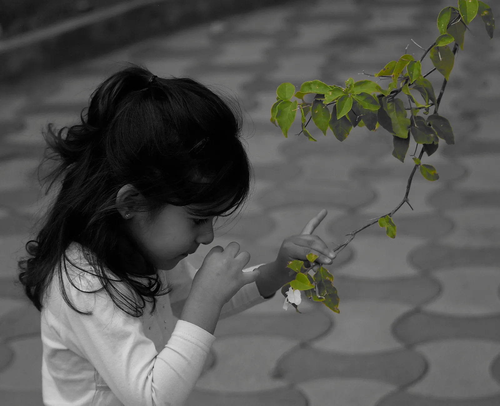 The Survival Logic That Made This Normal (Flickr: smelling the roses, CC BY-SA 2.0)