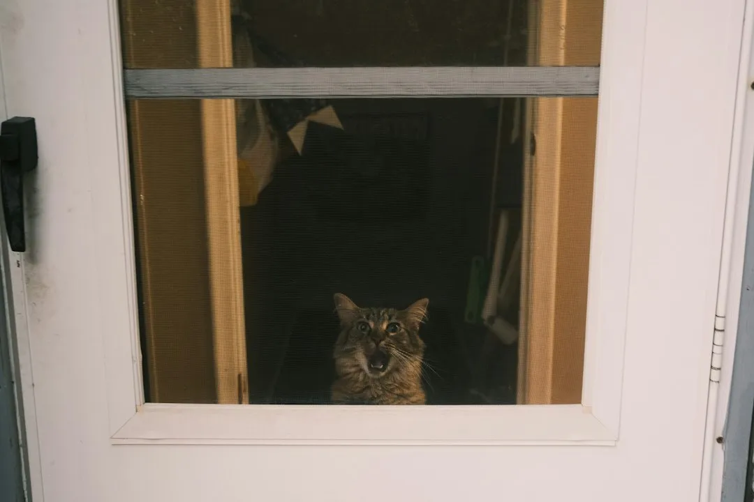 You Might Have Accidentally Trained This Behavior (Image Credits: Unsplash)