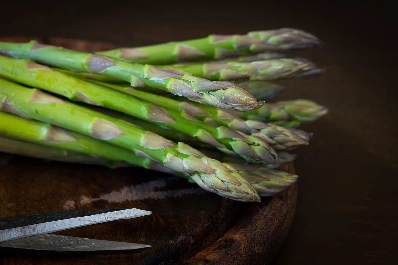 2. Asparagus: The Amino Acid Advantage (Image Credits: Pixabay)