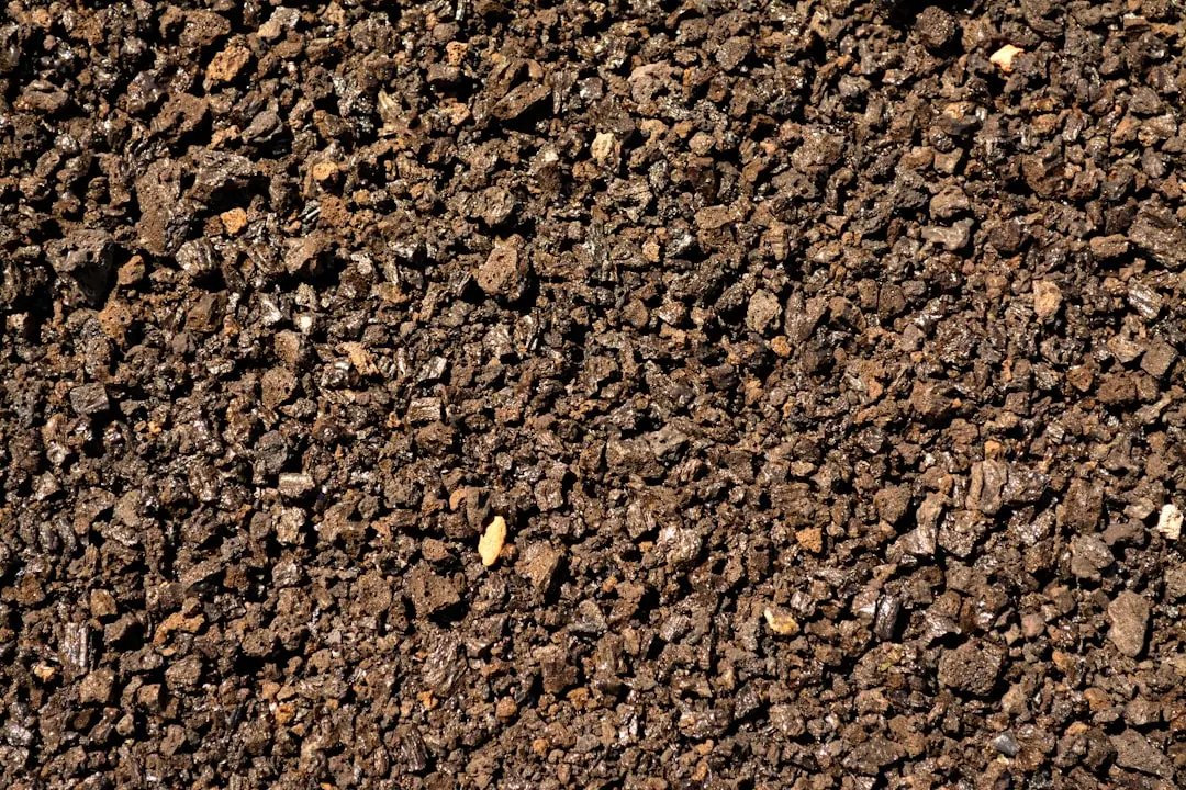 Deep Dark Brown or Black: The Gold Standard (Image Credits: Unsplash)