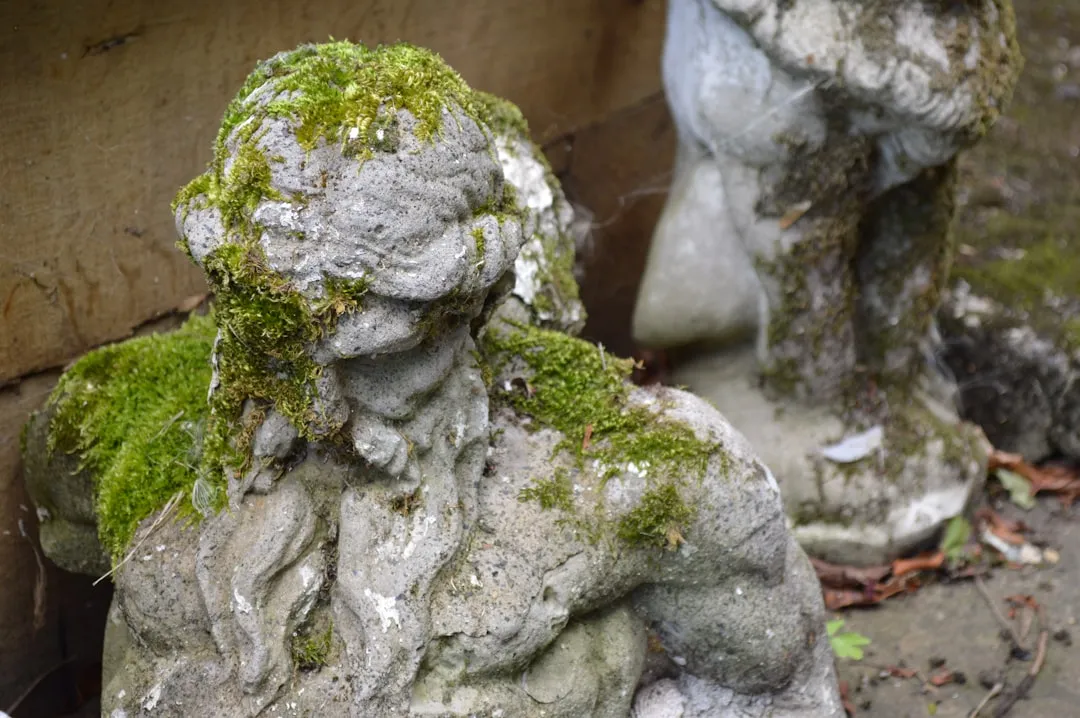 Why Original Patina Matters So Much (Image Credits: Unsplash)