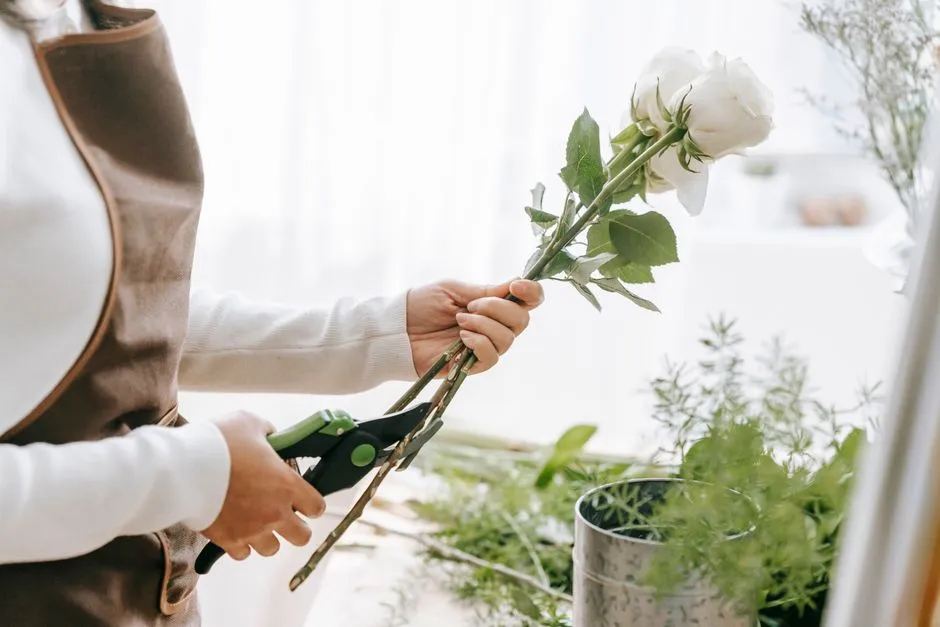 Cutting in the Wrong Spot on the Stem (Image Credits: Pexels)
