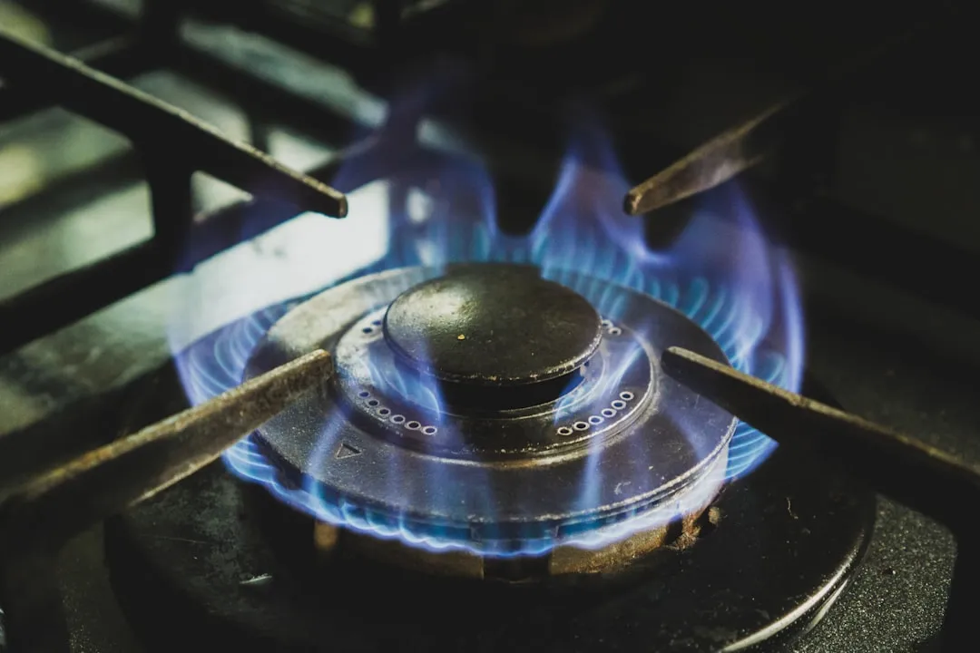 The Rotten Egg Smell: Get Out Now (Image Credits: Unsplash)
