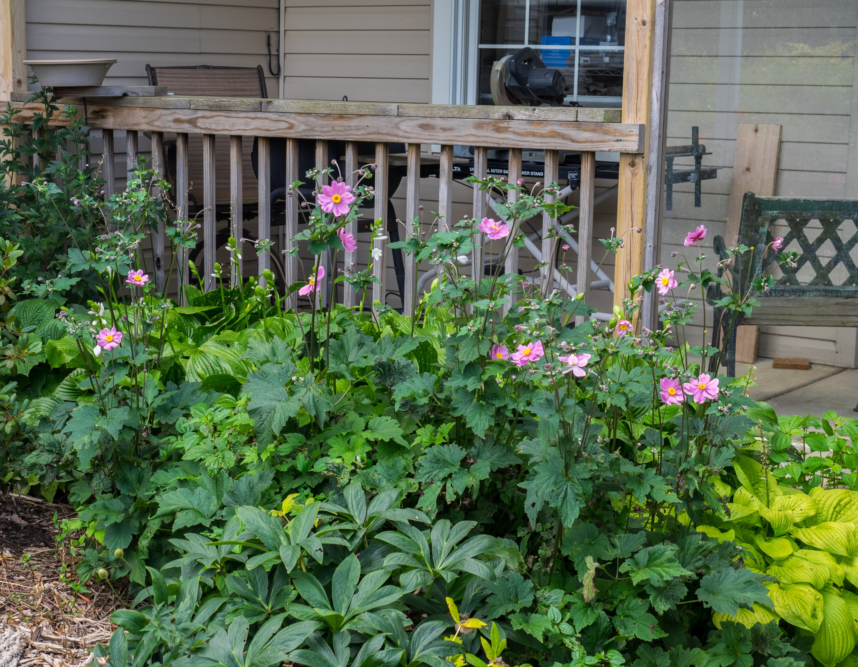 The Common Mulching Mistake That's Suffocating Your Garden Beds