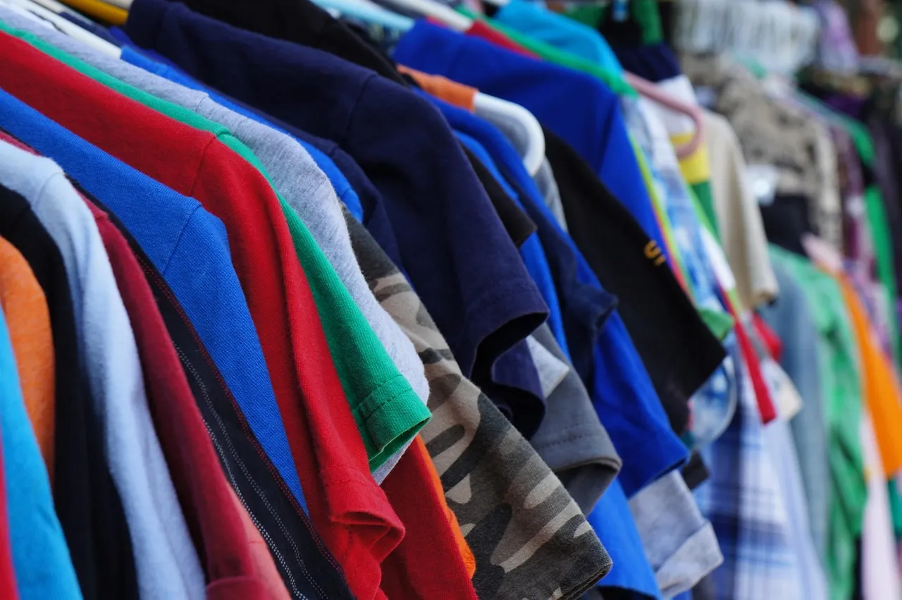 Why the Bargain Brain Overrules Good Judgment (Image Credits: Pixabay)