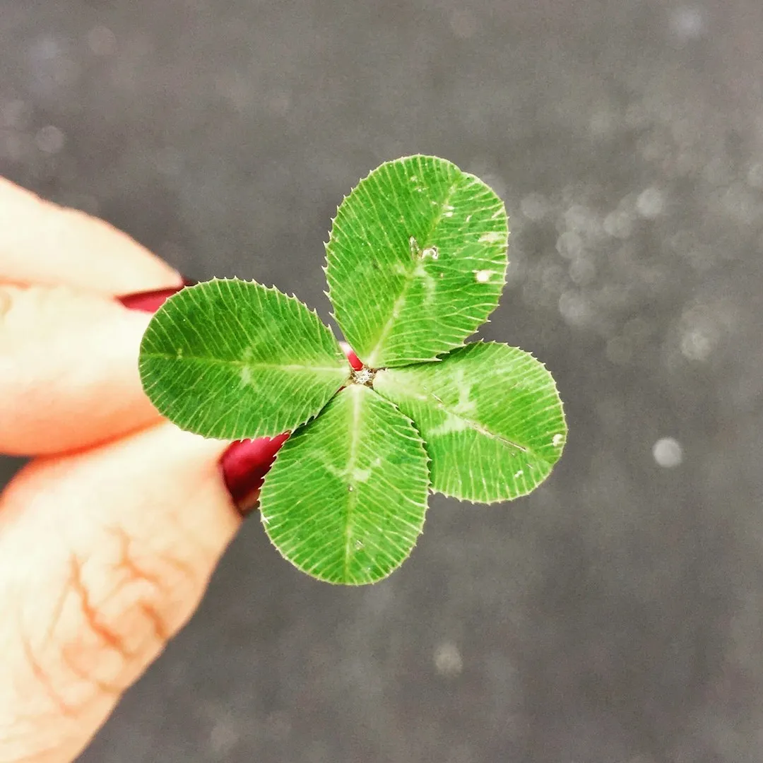 Superstitions Dressed Up as Common Sense (Image Credits: Unsplash)