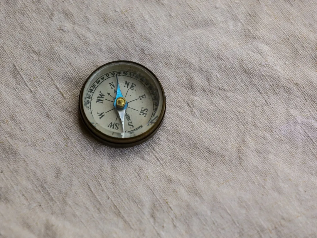 The Magnetic Compass Inside Every Migrating Bird (Image Credits: Unsplash)