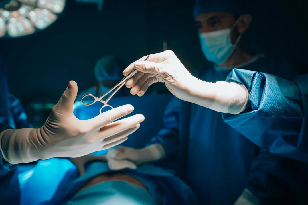 Gastropexy: The Preventive Option Worth Discussing (Image Credits: Unsplash)