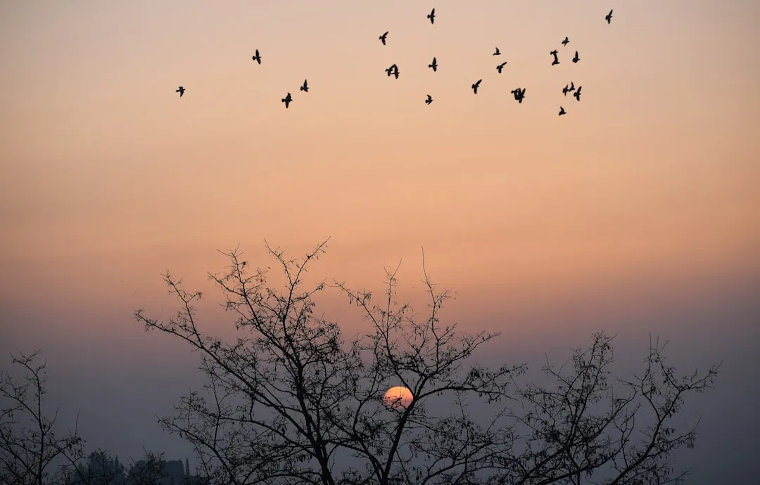 They Exit and Return as a Group at Dusk and Dawn (Image Credits: Unsplash)