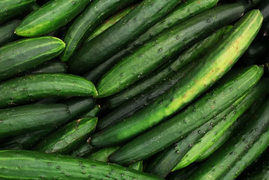 What Soil Scientists and Growers Can Do About It (Image Credits: Pexels)