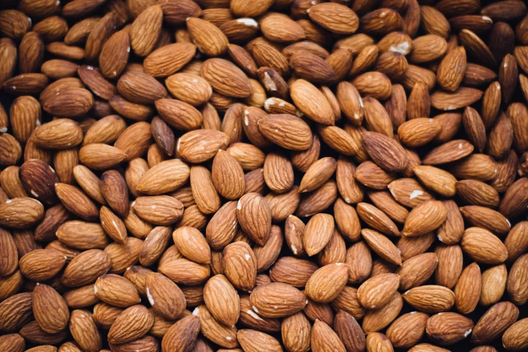 8. Almonds and Seeds: Vitamin E's Quiet Contribution (Image Credits: Unsplash)