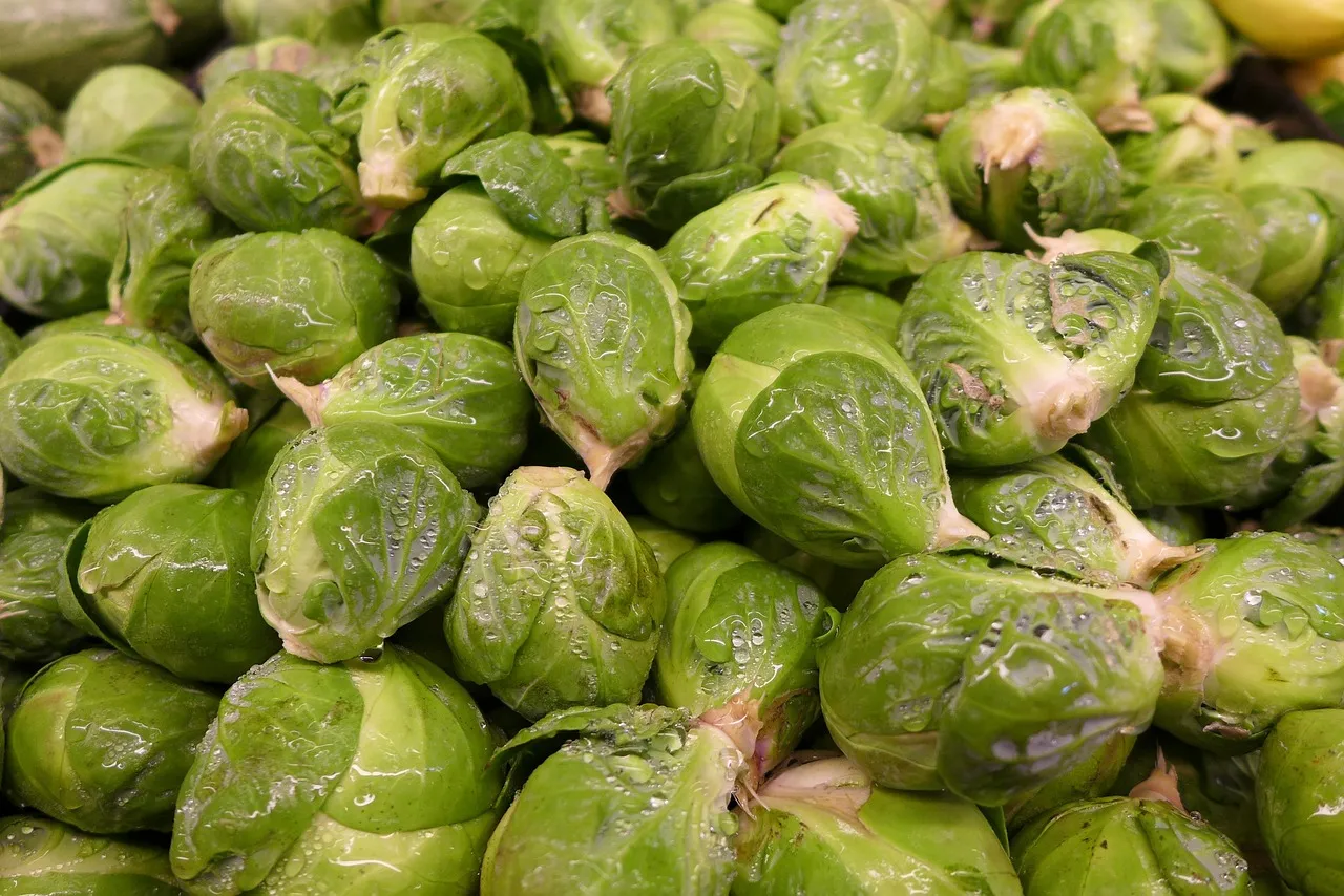 Brussels Sprouts: Compounds That Activate Under Heat (Image Credits: Pixabay)