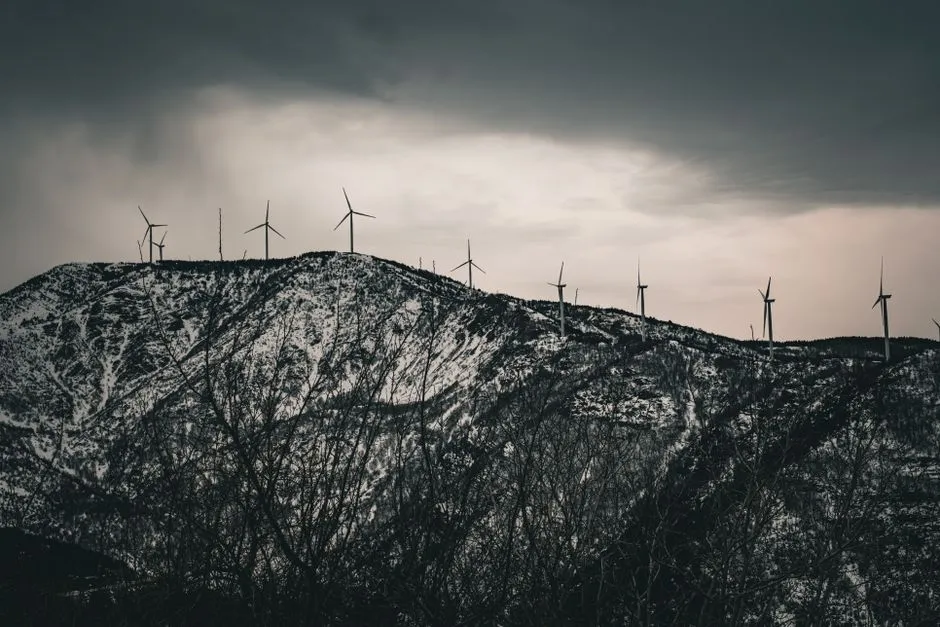 Colorado: High Altitude, High Ambitions (Image Credits: Pexels)