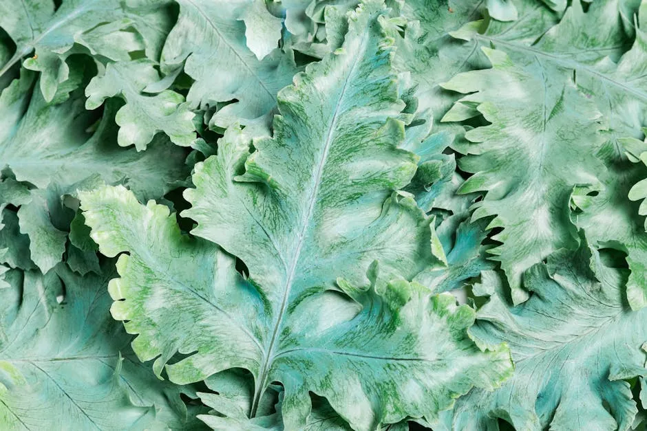 The Blue Star Fern: The Understated Individualist (Image Credits: Pexels)