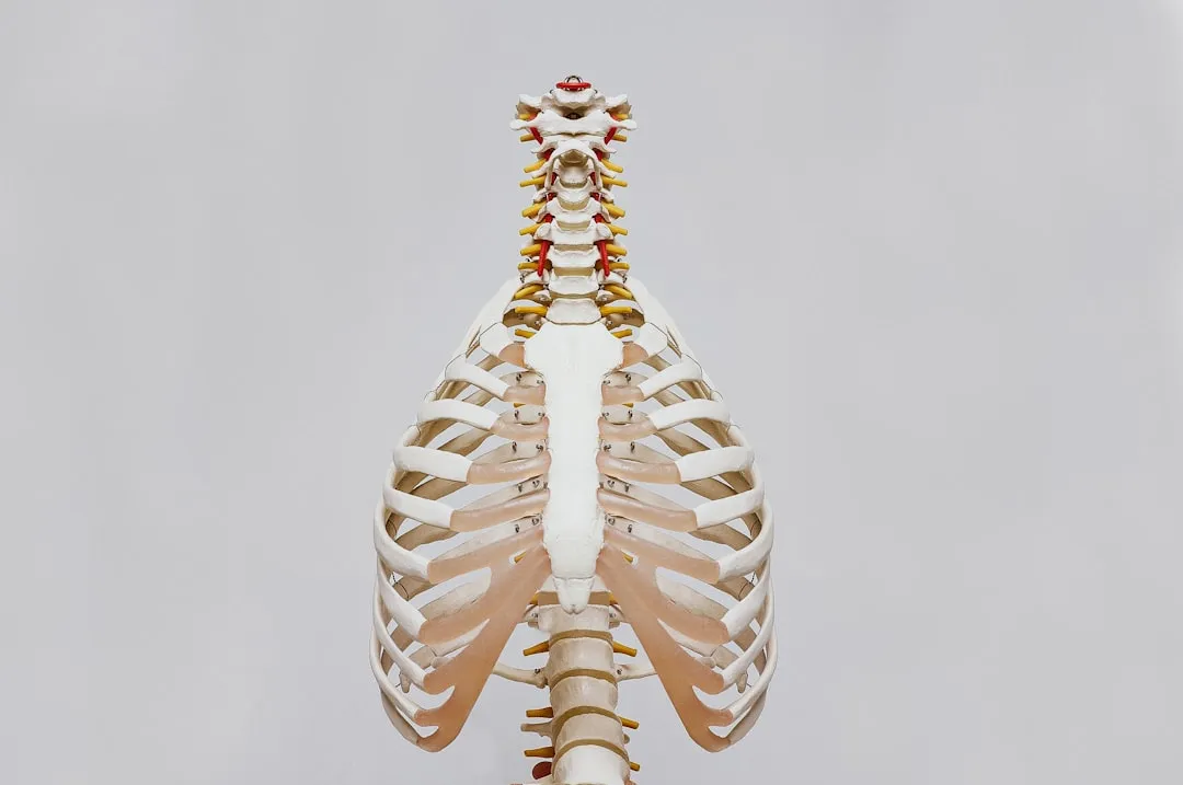 Why Bone Loss Accelerates with Age (Image Credits: Unsplash)