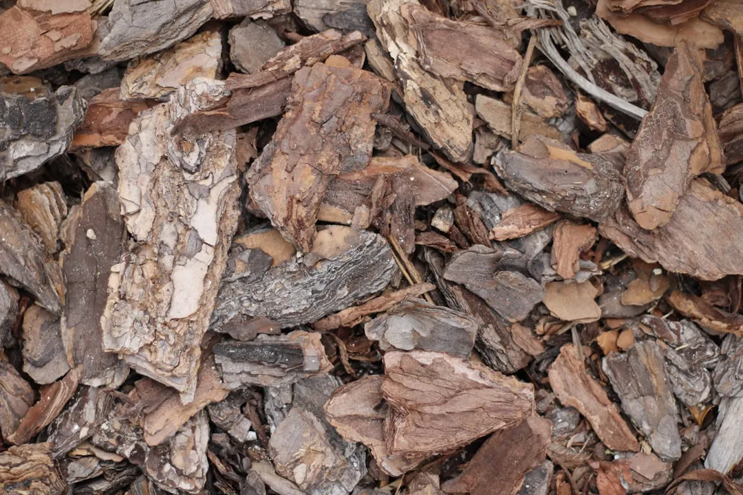 Choosing the Right Mulch Type for Your Beds (Image Credits: Unsplash)