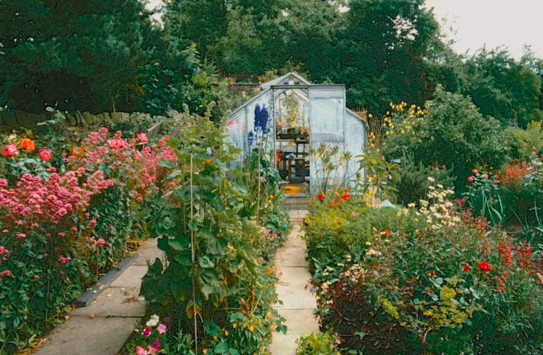 Why Younger Gardeners Are Embracing It (Image Credits: Unsplash)