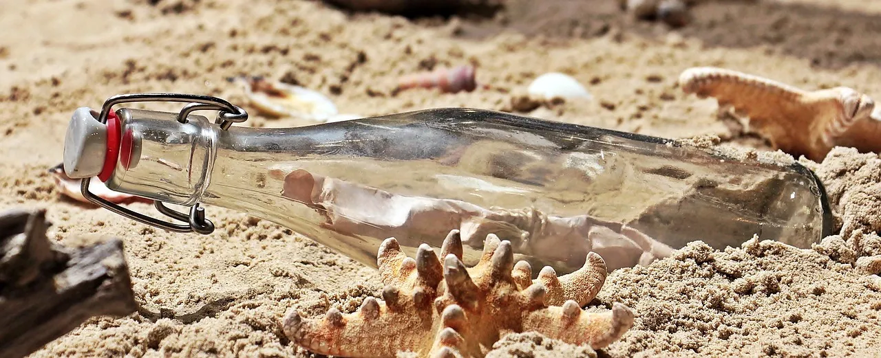 Maintenance and When to Clean the Spike (Image Credits: Pixabay)