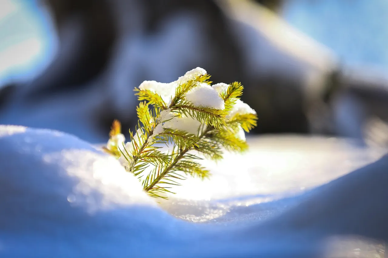 5. Ignoring the Temperature Thresholds That Actually Matter (Image Credits: Pixabay)