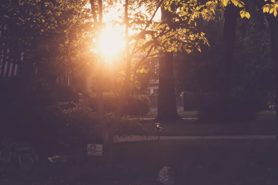 Why Fresno Summers Push Homeowners To Rethink Their Yards (Image Credits: Stocksnap)