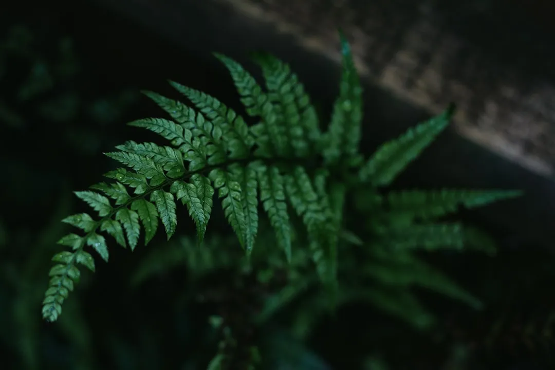 The Bigger Picture: Mathematics as a Universal Growth Language (Image Credits: Unsplash)
